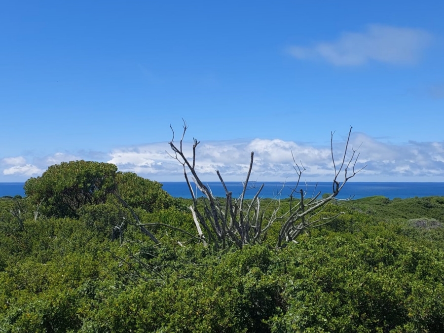 0 Bedroom Property for Sale in Agulhas Western Cape